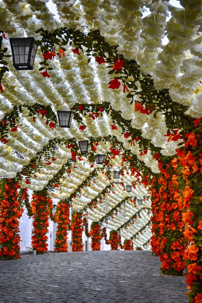 Tunnel van witte en oranje papieren bloemen met lantaarns in Campo Maior.